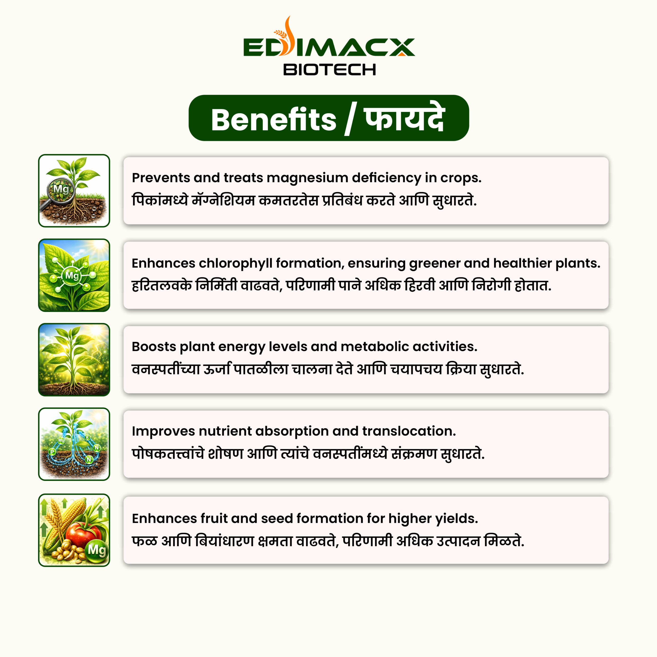 EDIMACX MAGNET MG 6% | ईडीमॅक्स मॅग्नेट Mg 6% - Image 4
