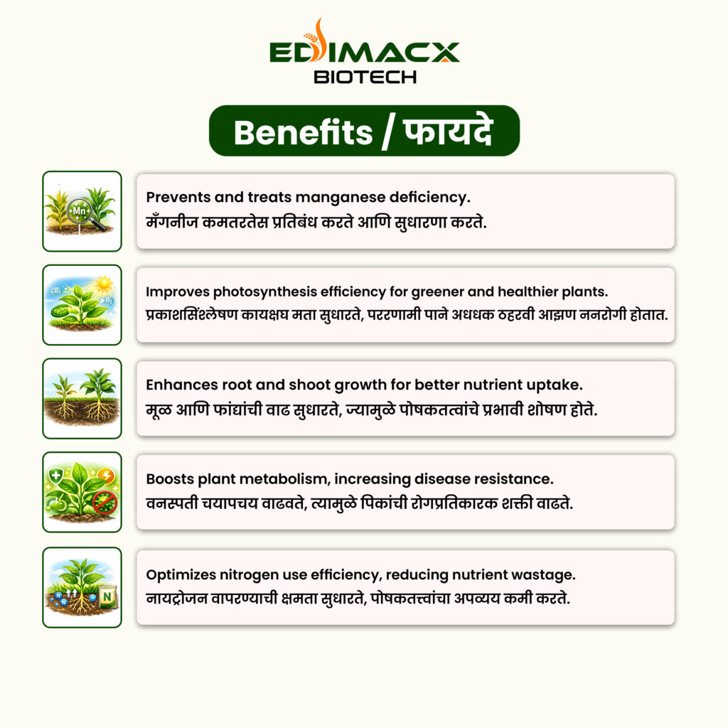 EDIMACX MN-10 | ईडीमॅक्स एमएन – १०
