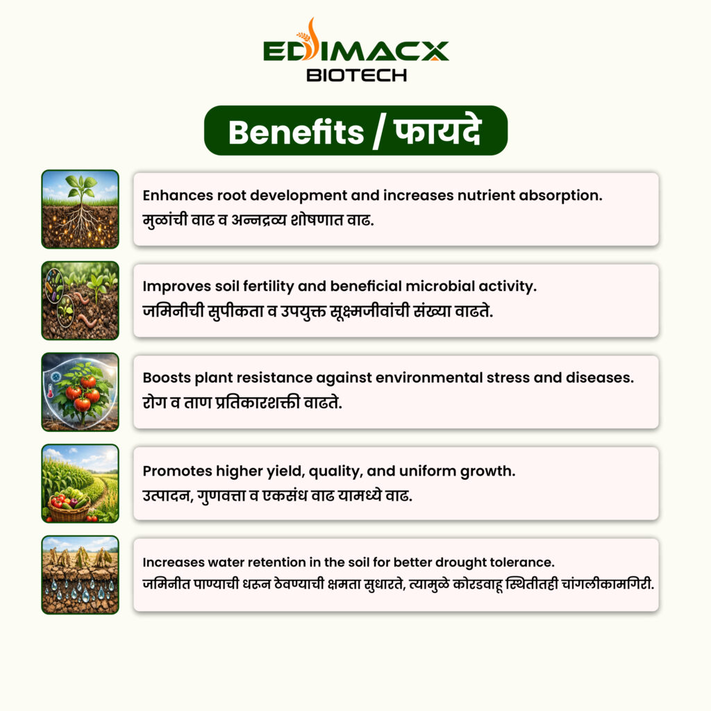 EDIMACX-MYCO GR | ईडिमॅक्स-मायको जीआर