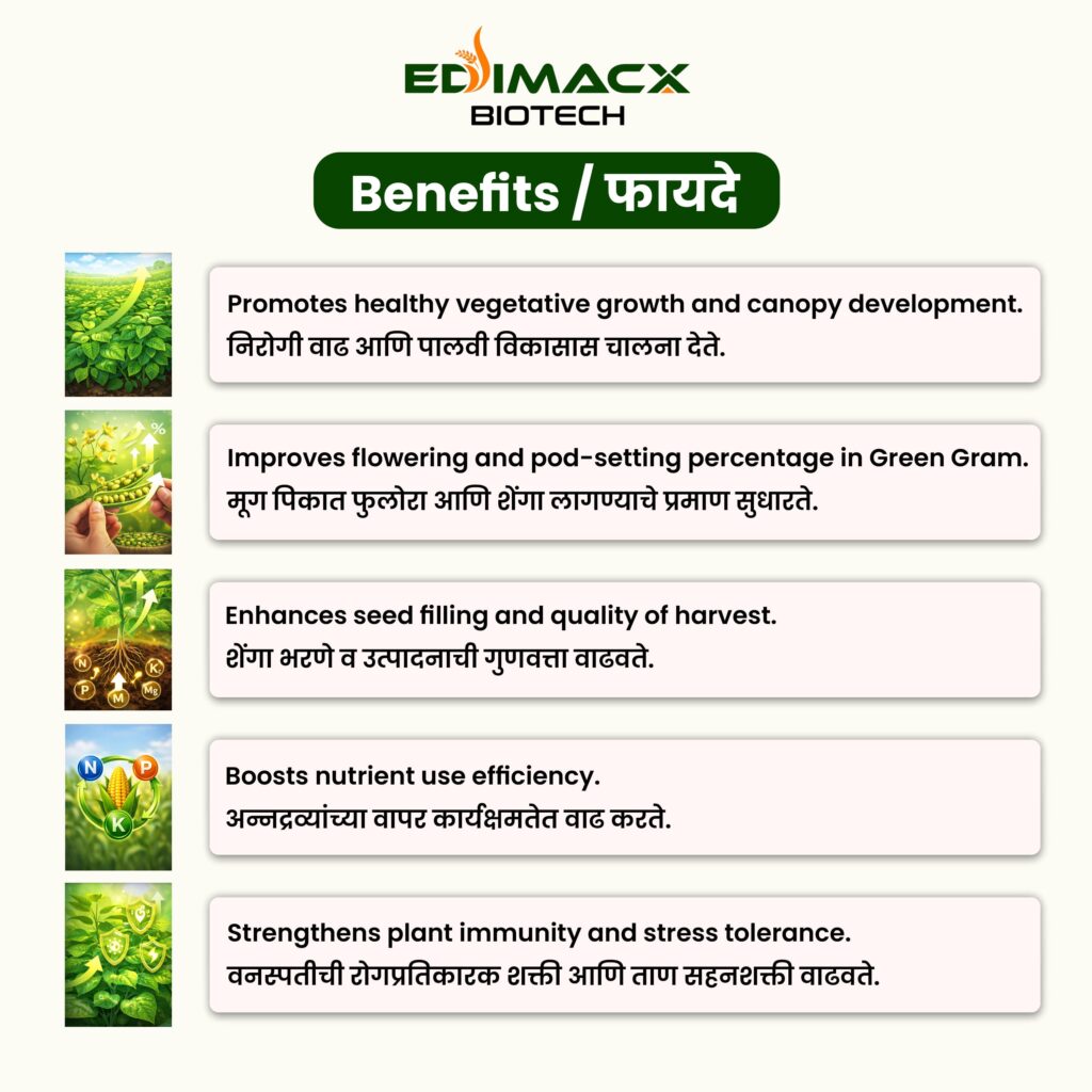 EDIMACX ARISE | ईडिमॅक्स अराईज