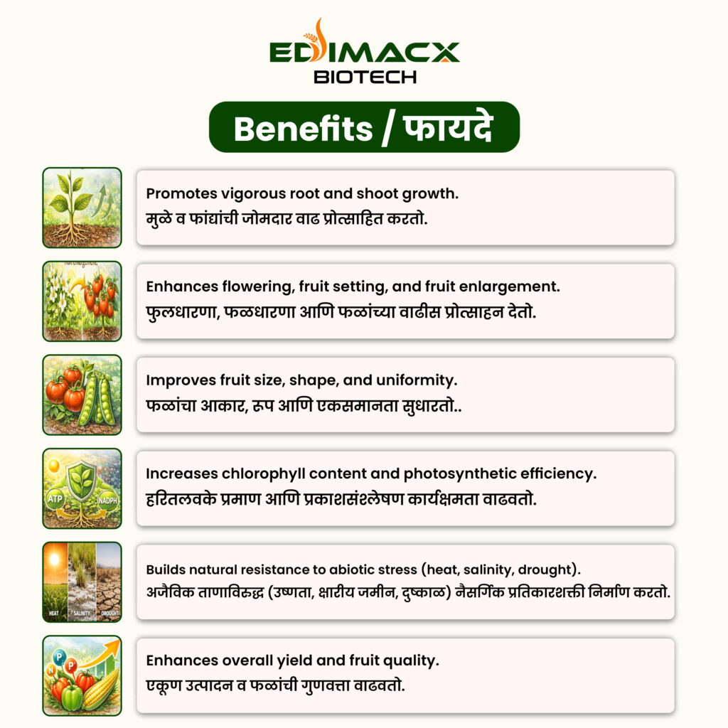EDIMACX SIZER++ | ईडिमॅक्स सायझर++