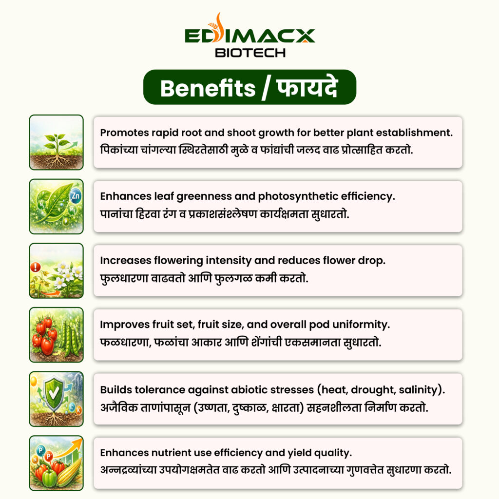 EDIMACX TARKARI | ईडिमॅक्स तरकारी