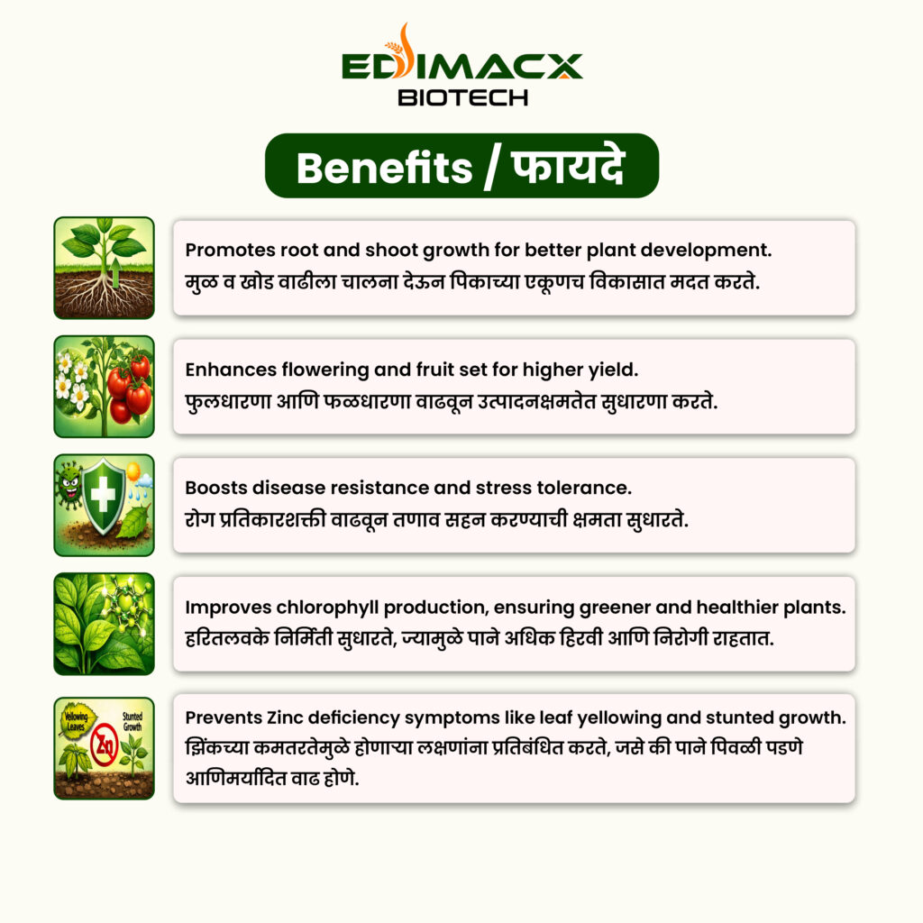 EDIMACX ZN-12 | ईडिमॅक्स झेडएन १२