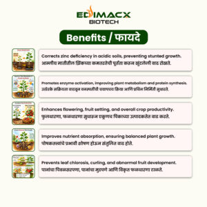 EDIMACX BOROZONE P-9 | ईडिमॅक्स बौरोझोन P-9 (Amino Base) - Image 5