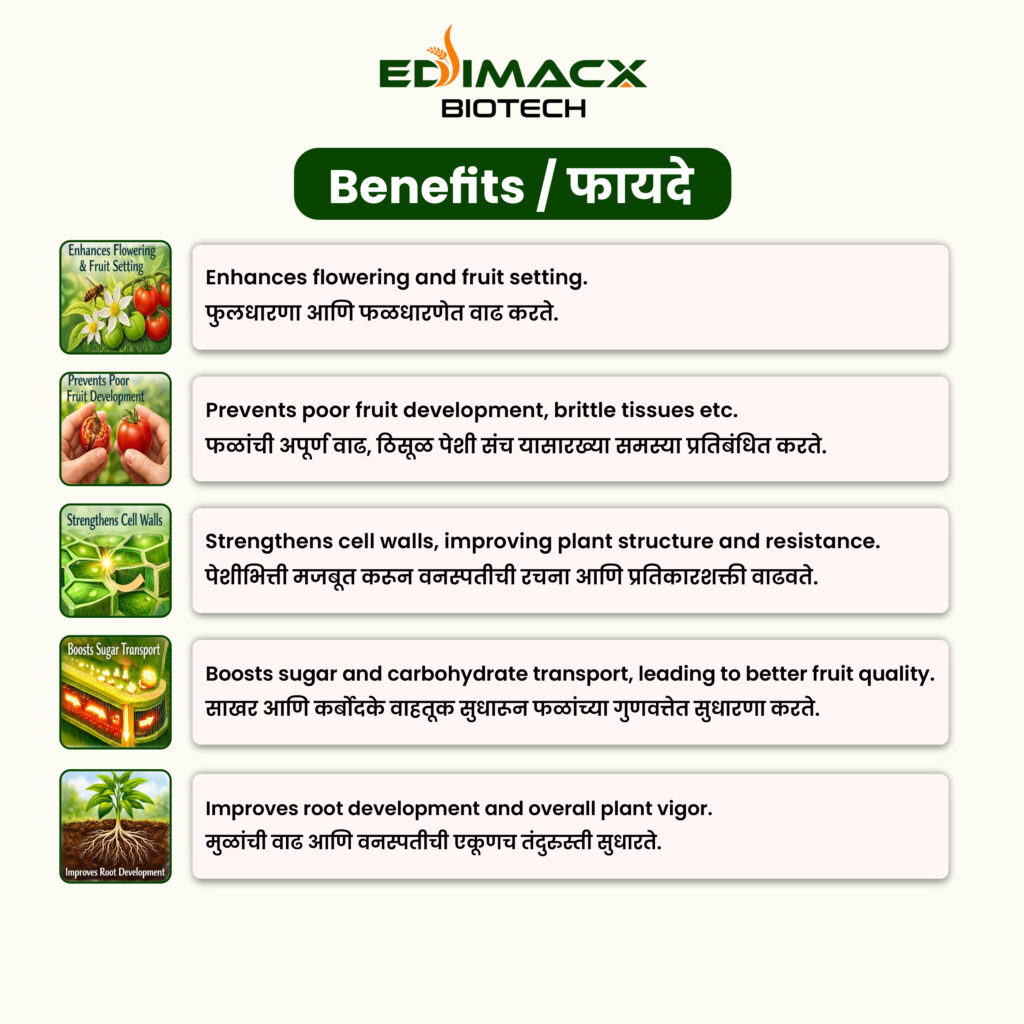 EDIMACX-B DOT 20 | ईडीमॅक्स–बी डॉट २०