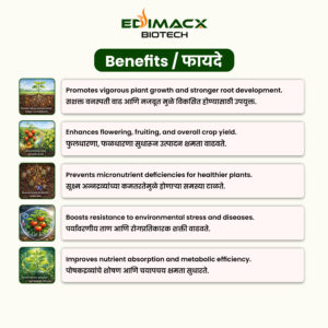 EDIMACX AMI COMBI P-II | ईडिमॅक्स AMI कॉम्बी P-II - Image 4