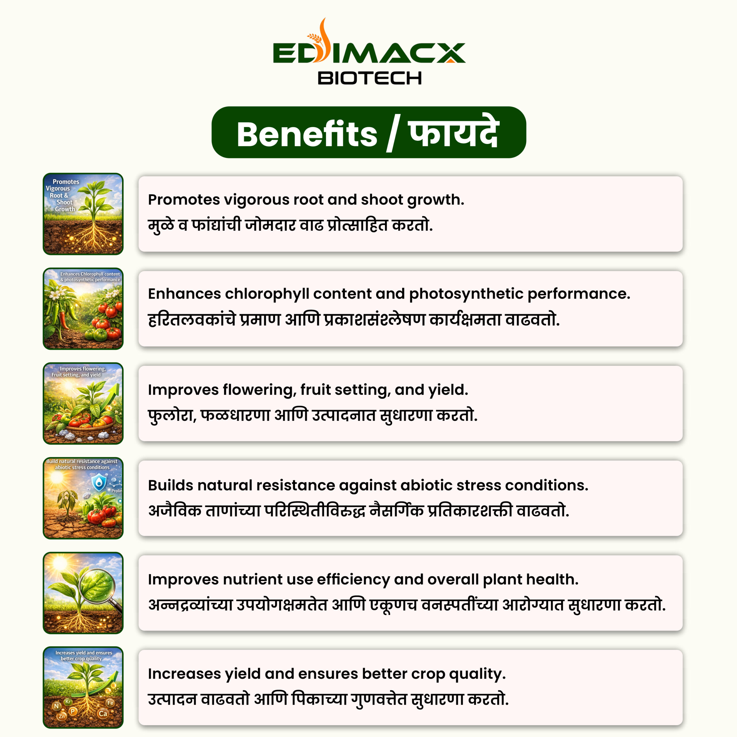EDIMACX BUNDHA PLUS | ईडिमॅक्स बुंधा प्लस - Image 4