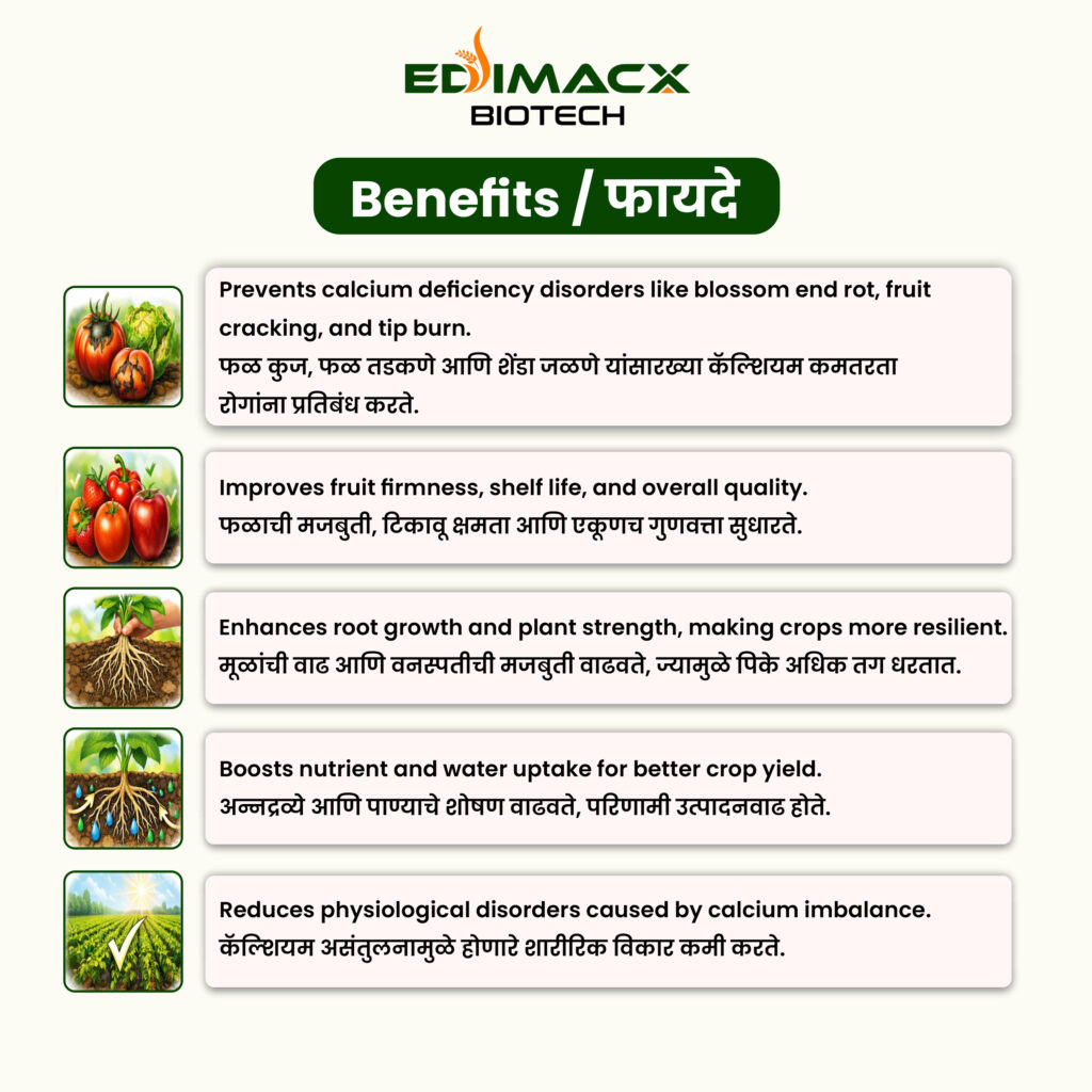 EDIMACX CA-10 | ईडीमॅक्स सिए-१०
