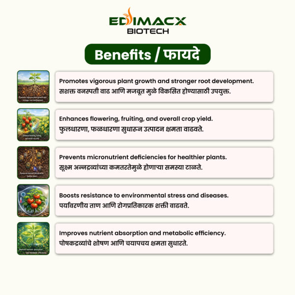 EDIMACX AMI COMBI P-II | ईडिमॅक्स AMI कॉम्बी P-II