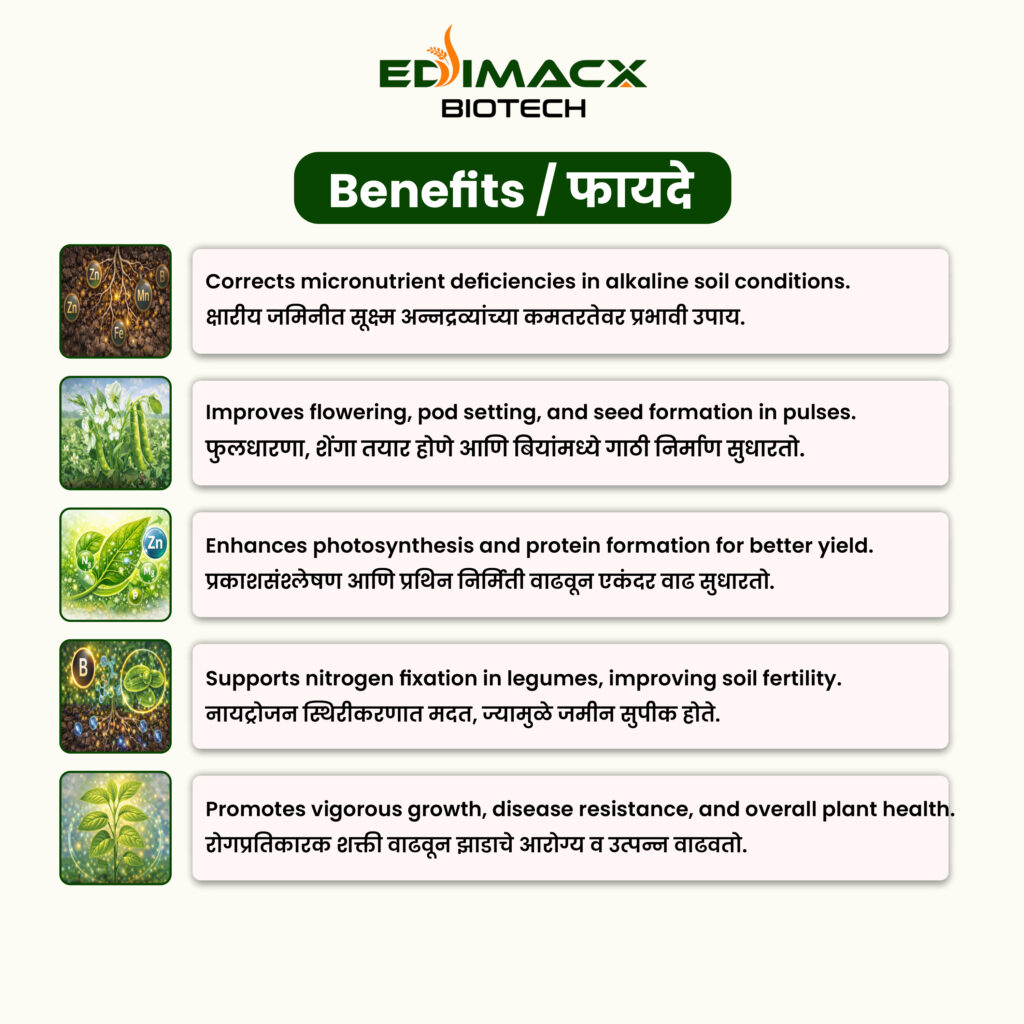 EDIMACX DALMAKER | इंडिमॅक्स डाळमेकर