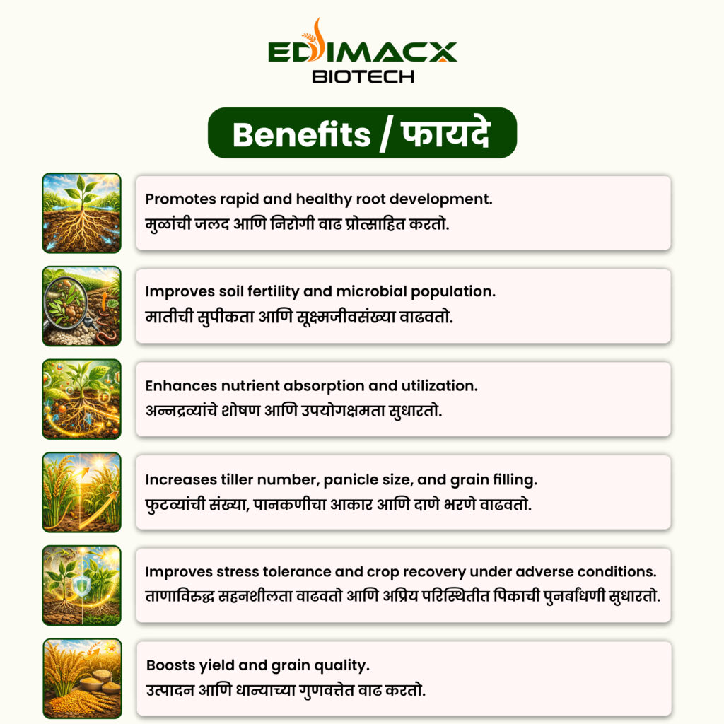 EDIMACX DIGEST L | ईडिमॅक्स डायजेस्ट-एल
