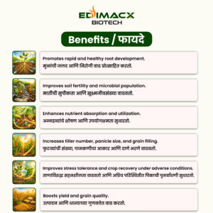 EDIMACX DIGEST L | ईडिमॅक्स डायजेस्ट-एल - Image 4