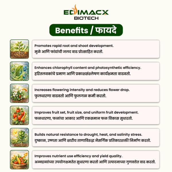 EDIMACX DIGEST P | ईडिमॅक्स डायजेस्ट-पी