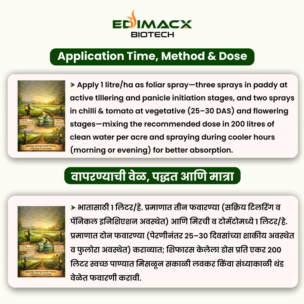 EDIMACX KELWIN PACK L | ईडिमॅक्स के क्ल्वन पॅक एल