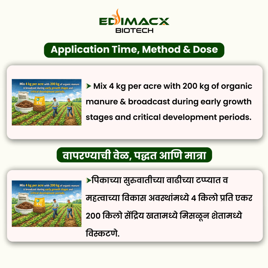 EDIMACX-MYCO GR | ईडिमॅक्स-मायको जीआर