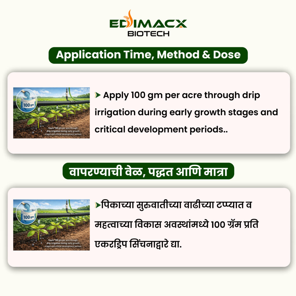 EDIMACX MYCOP P | ईडीमॅक्स मायको पी