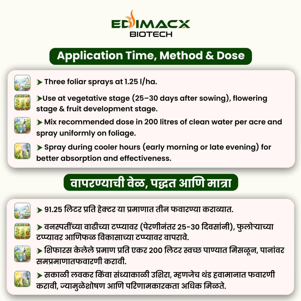 EDIMACX SIZER++ | ईडिमॅक्स सायझर++