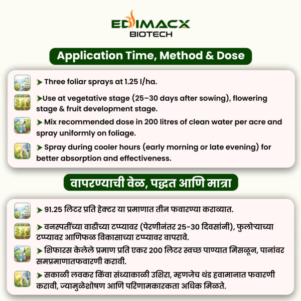 EDIMACX SIZER++ | ईडिमॅक्स सायझर++
