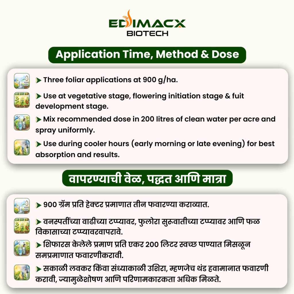 EDIMACX TARKARI | ईडिमॅक्स तरकारी