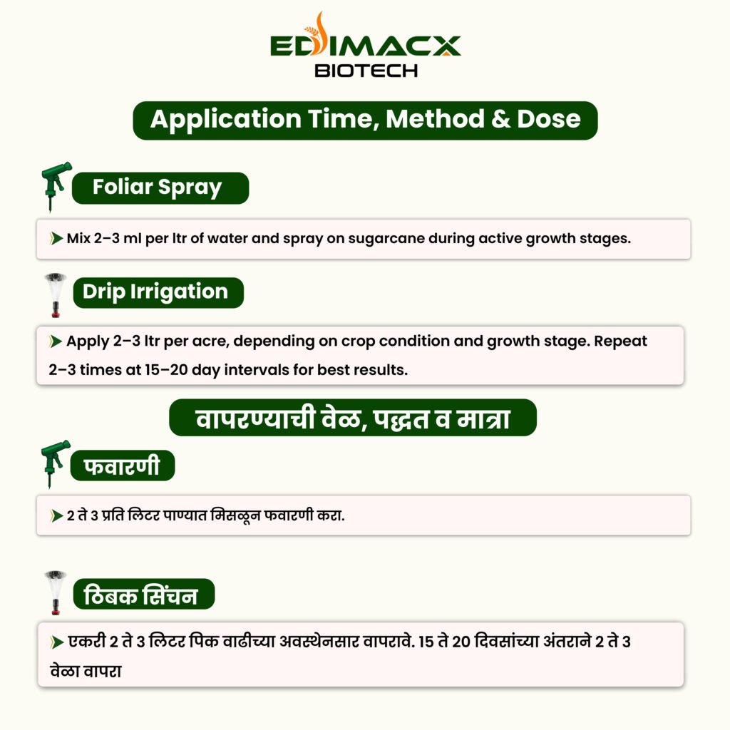 EDIMACX VIRIDITY SP (N-8) | ईडिमॅक्स व्हेरीडीटी SP (N-8)