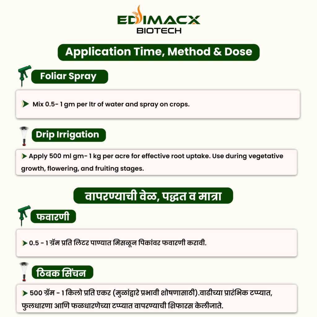 EDIMACX ZN-12 | ईडिमॅक्स झेडएन १२