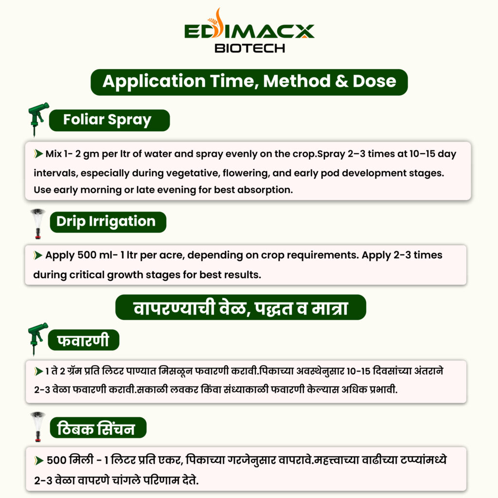EDIMACX DALMAKER | इंडिमॅक्स डाळमेकर