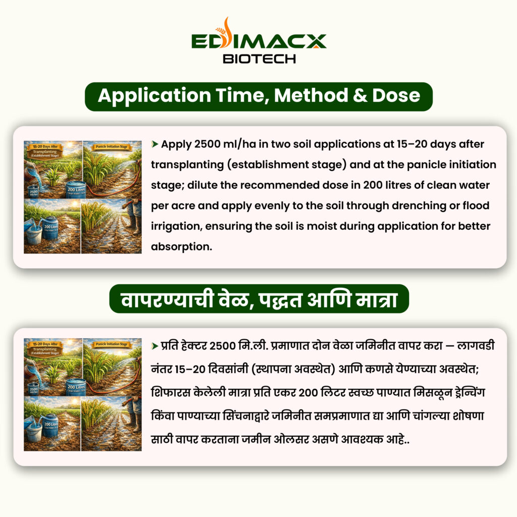 EDIMACX DIGEST L | ईडिमॅक्स डायजेस्ट-एल