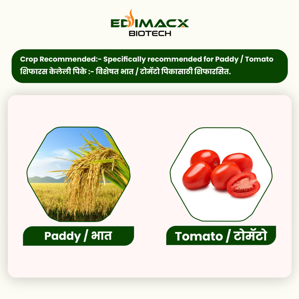 EDIMACX BUNDHA PLUS | ईडिमॅक्स बुंधा प्लस