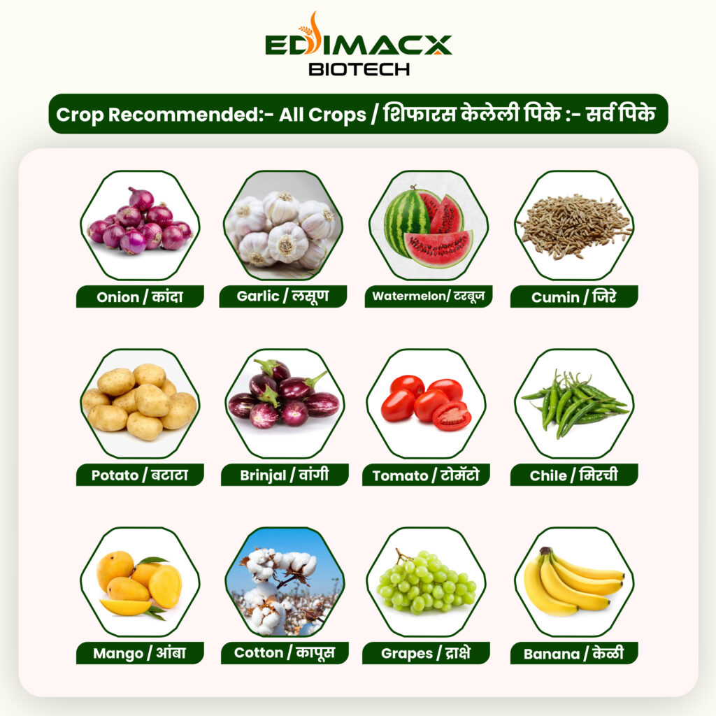 EDIMACX AMI COMBI P-II | ईडिमॅक्स AMI कॉम्बी P-II