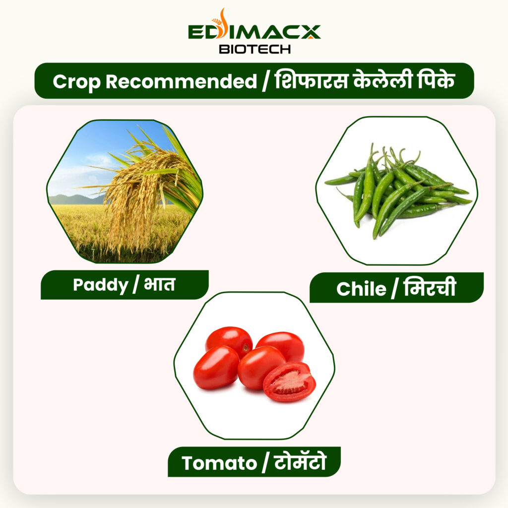 EDIMACX KELWIN PACK L | ईडिमॅक्स के क्ल्वन पॅक एल