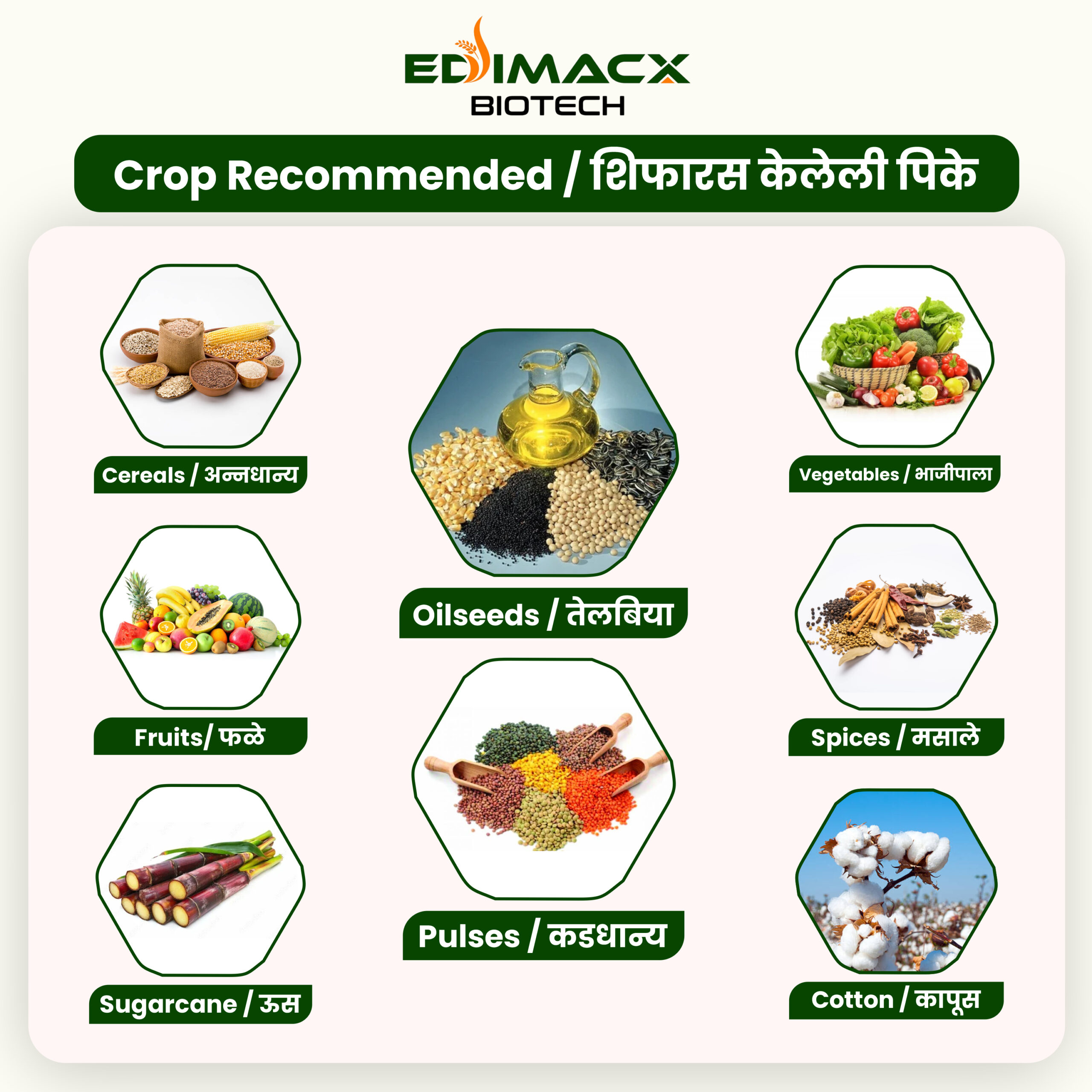EDIMACX NPK-L | ईडिमॅक्स एनपीके-एल - Image 6