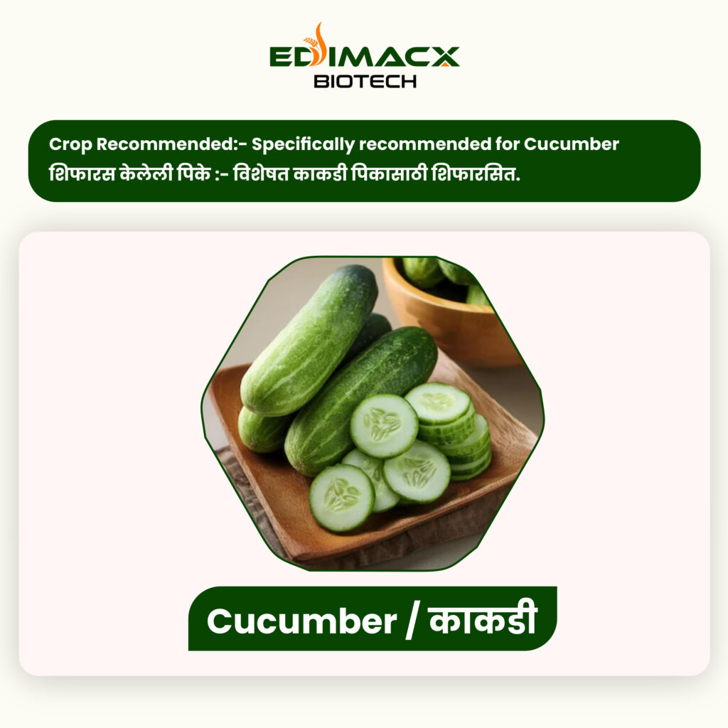 EDIMACX SIZER++ | ईडिमॅक्स सायझर++