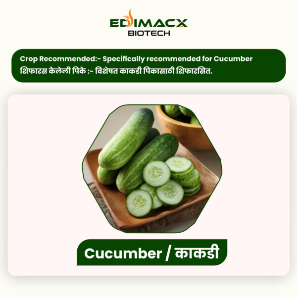 EDIMACX SIZER++ | ईडिमॅक्स सायझर++