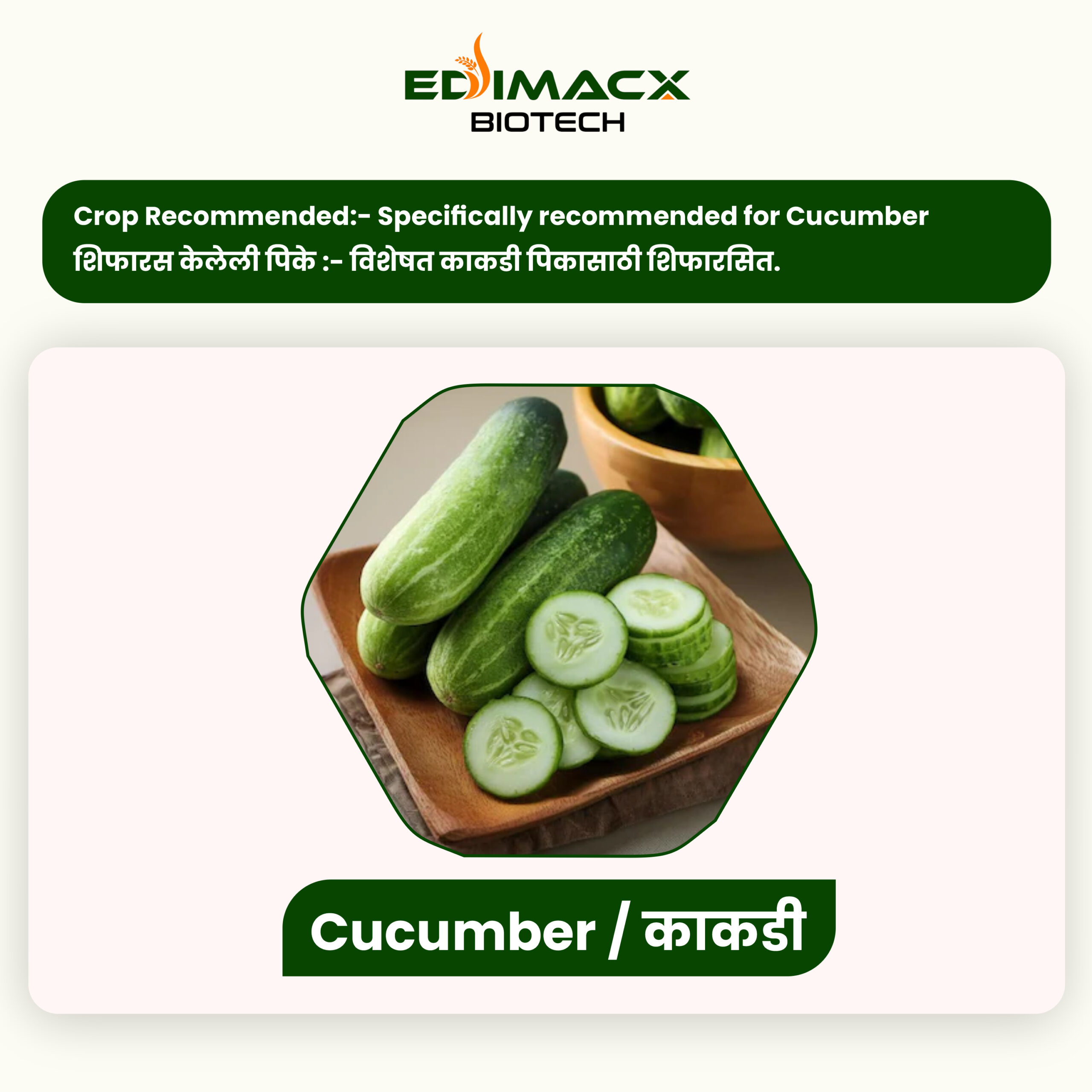 EDIMACX SIZER++ | ईडिमॅक्स सायझर++ - Image 6