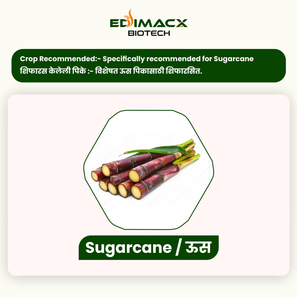 EDIMACX VIRIDITY SP (N-8) | ईडिमॅक्स व्हेरीडीटी SP (N-8)