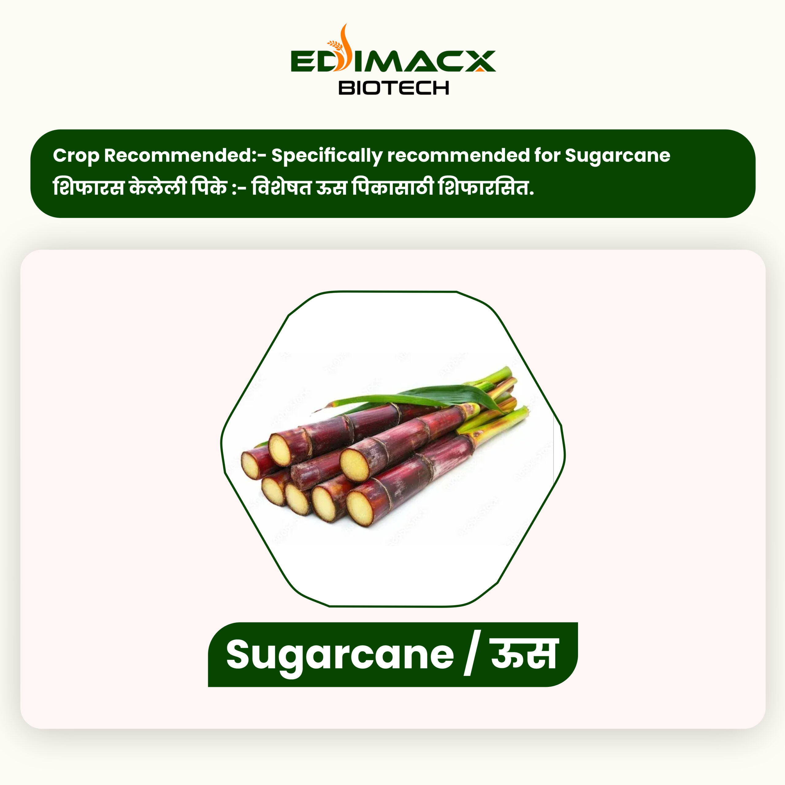 EDIMACX VIRIDITY SP (N-8) | ईडिमॅक्स व्हेरीडीटी SP (N-8) - Image 6