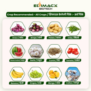 EDIMACX ZODIAC 40 | ईडिमॅक्स झोडियाक ४० - Image 6