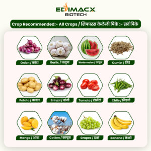 EDIMACX AMI COMBI P-II | ईडिमॅक्स AMI कॉम्बी P-II - Image 2