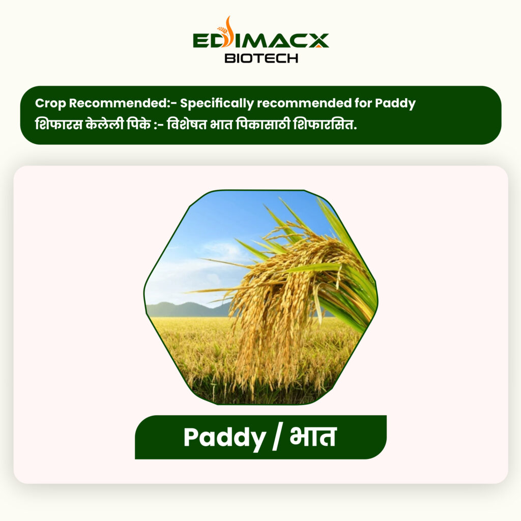 EDIMACX DIGEST L | ईडिमॅक्स डायजेस्ट-एल