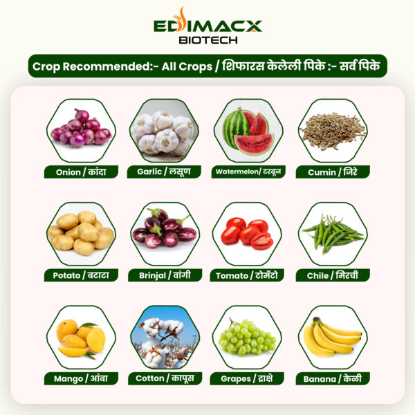 EDIMACX AMI COMBI P-II | ईडिमॅक्स AMI कॉम्बी P-II