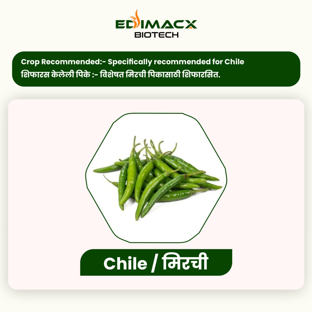 EDIMACX DIGEST P | ईडिमॅक्स डायजेस्ट-पी