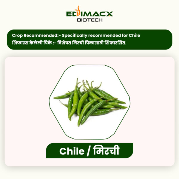 EDIMACX DIGEST P | ईडिमॅक्स डायजेस्ट-पी
