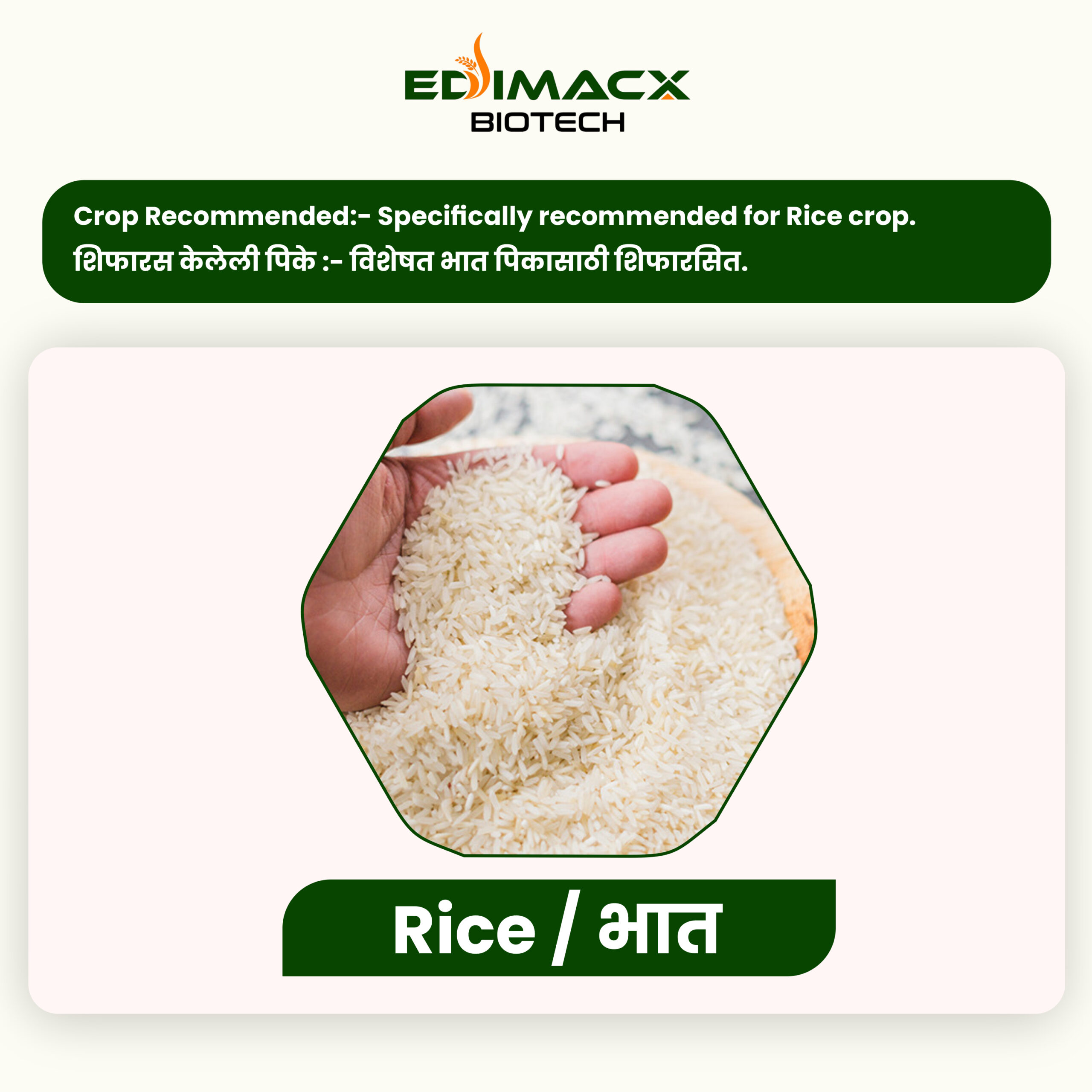 EDIMACX GREATER | ईडिमॅक्स ग्रेटर - Image 7