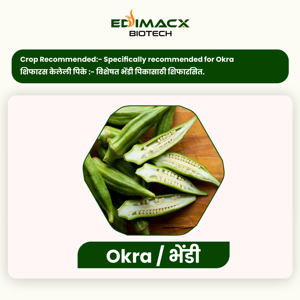 EDIMACX INTACT-P | ईडिमॅक्स इनटॅक्ट-पी