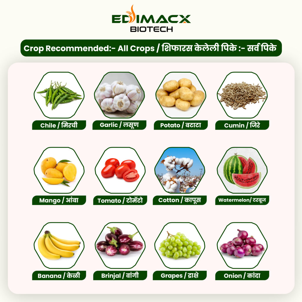 EDIMACX ZN-12 | ईडिमॅक्स झेडएन १२