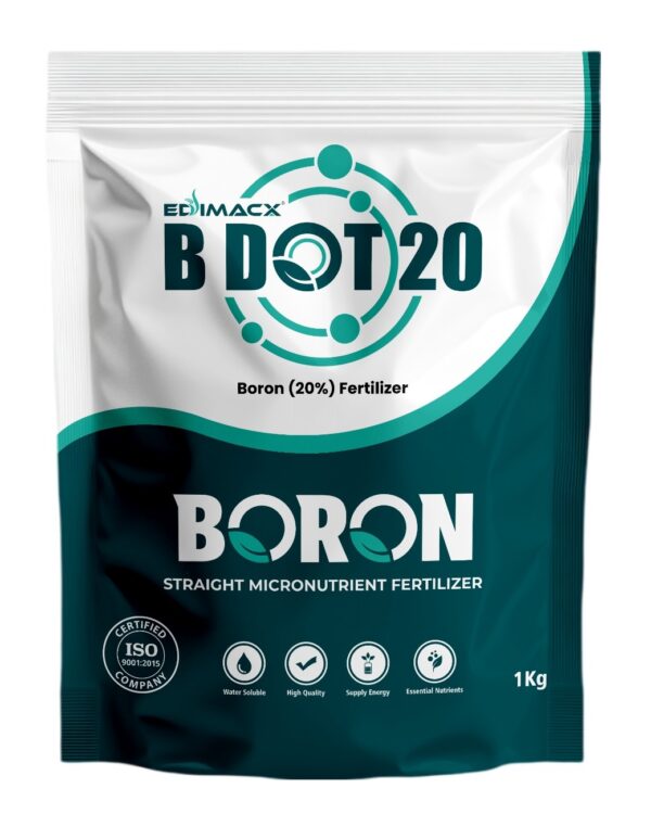 EDIMACX B DOT 20