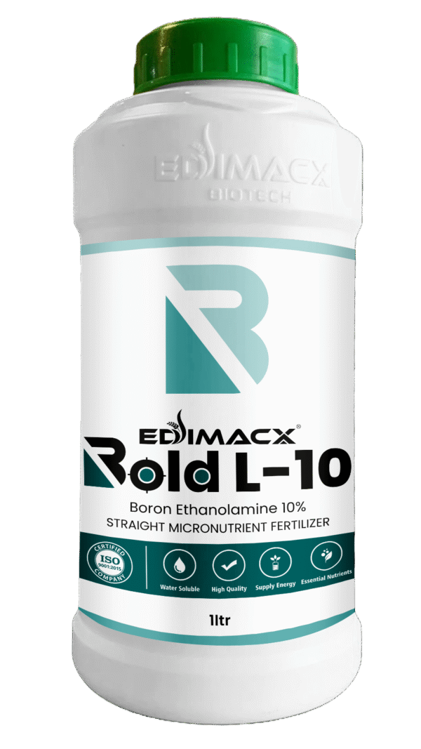 EDIMACX Bold L-10