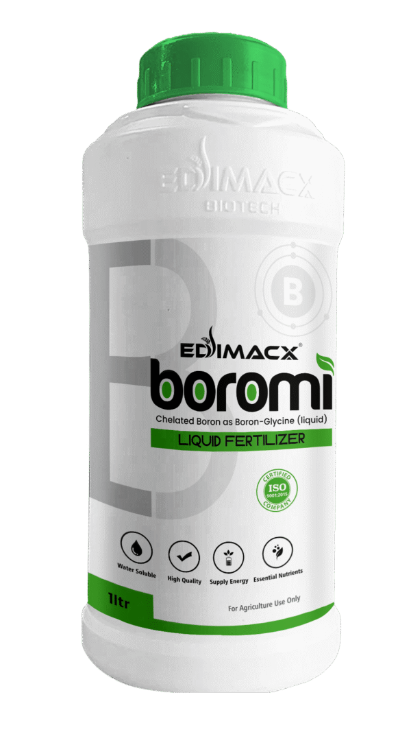 EDIMACX BOROMI