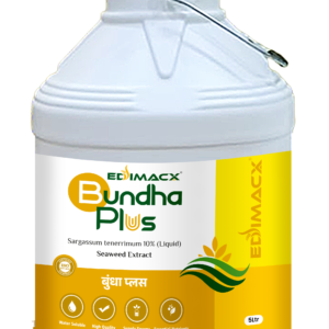 EDIMACX BUNDHA PLUS
