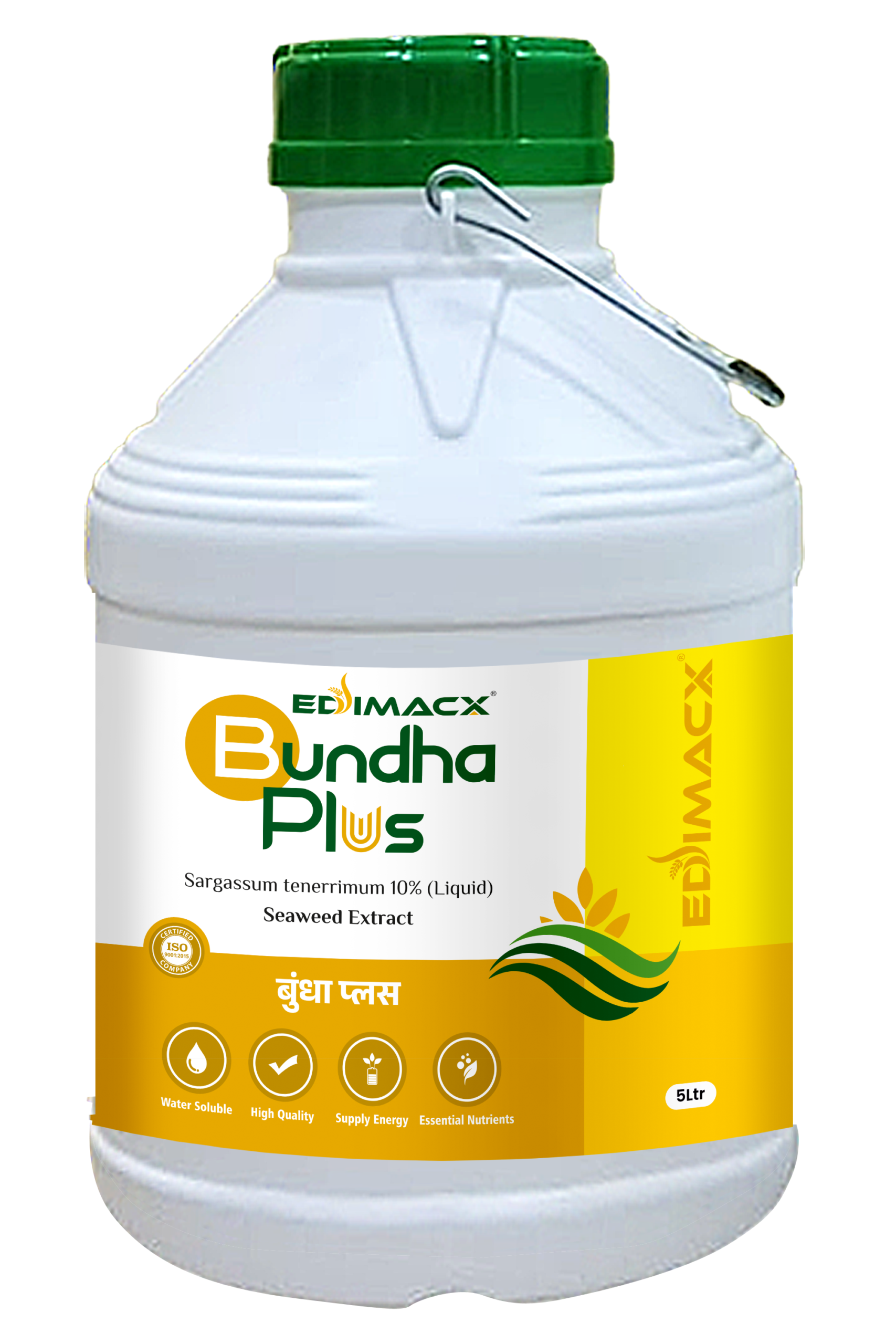 EDIMACX BUNDHA PLUS